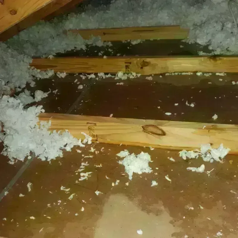 Attic Water Damage in Hinckley, MN