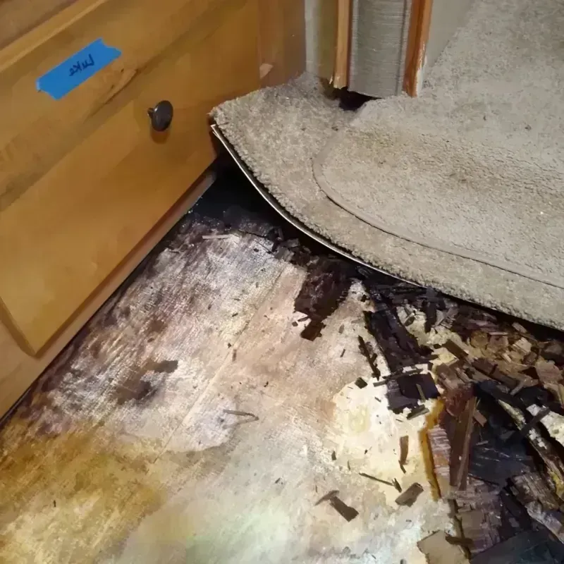 Wood Floor Water Damage in Hinckley, MN